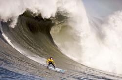 开云APP-雷霆万钧，西决生死战全面压制爵士的背后密码