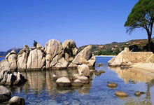 开云体育入口-德国网球队血洗美国网球队，梅德韦杰夫惊艳世界的简单介绍