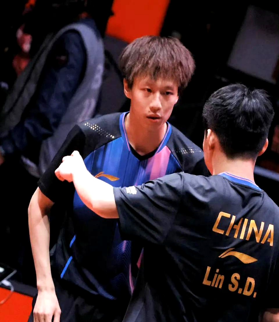 中国队险胜瑞典队，林高远扛起全队的简单介绍