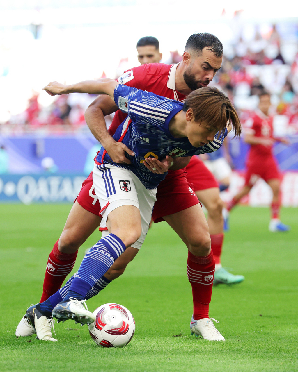 包含澳大利亚队对抗荷兰队，双方硬战！的词条