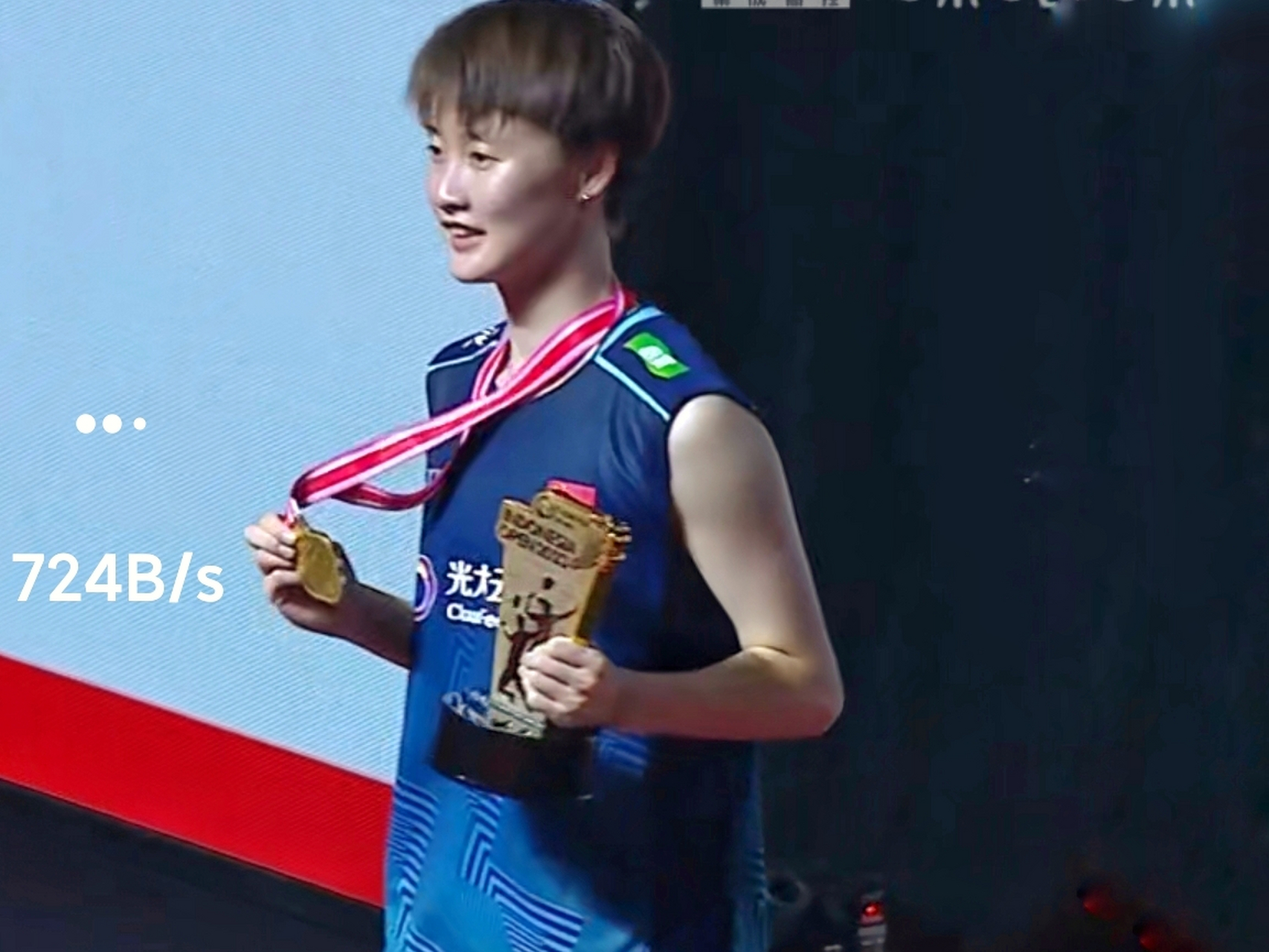 中国羽毛球队血洗丹麦羽毛球队，马琳关键制胜的简单介绍