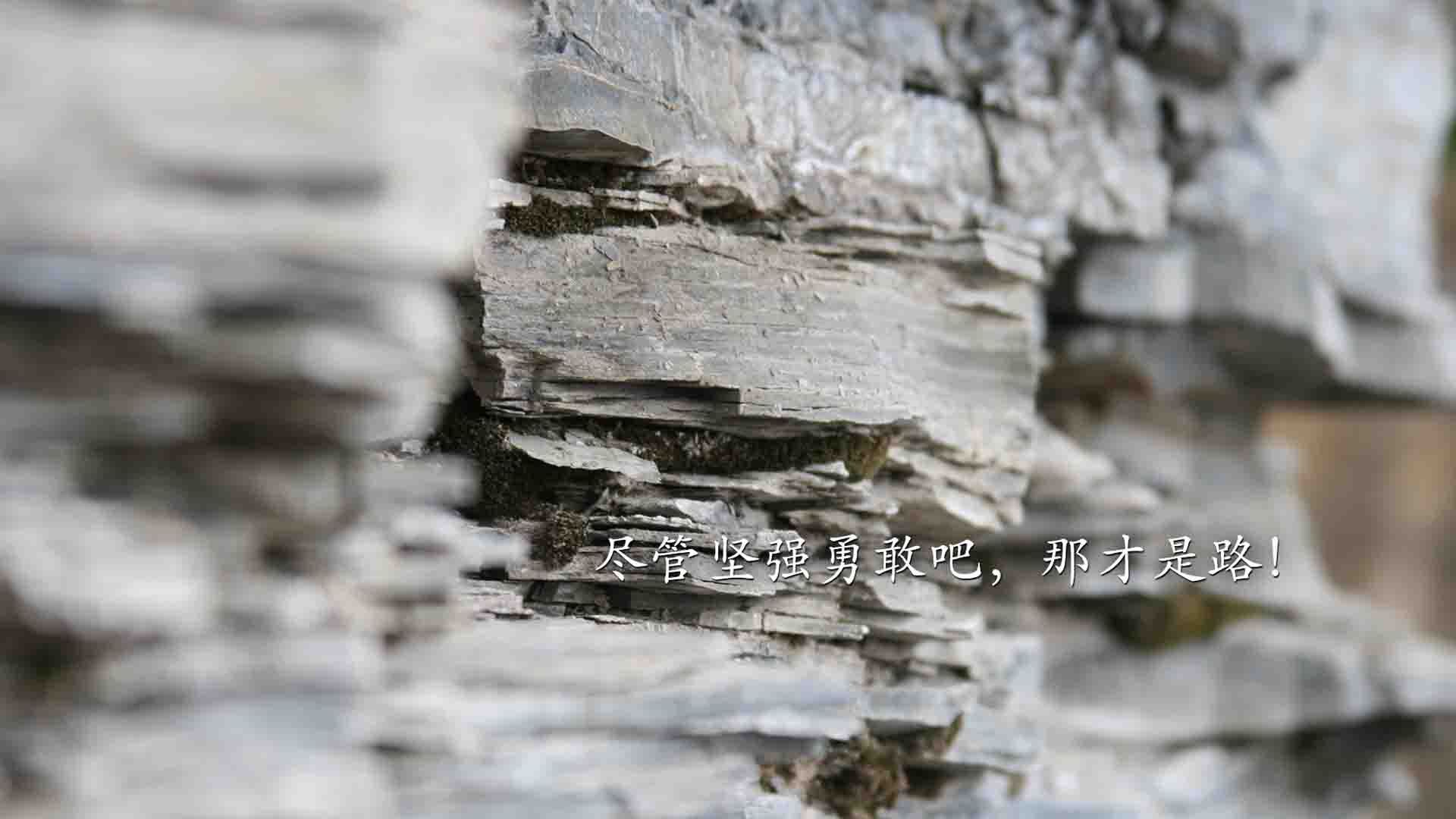 戈麦斯闪耀焦点战,喀麦隆雄狮碾压阿尔及利亚挺进下一轮