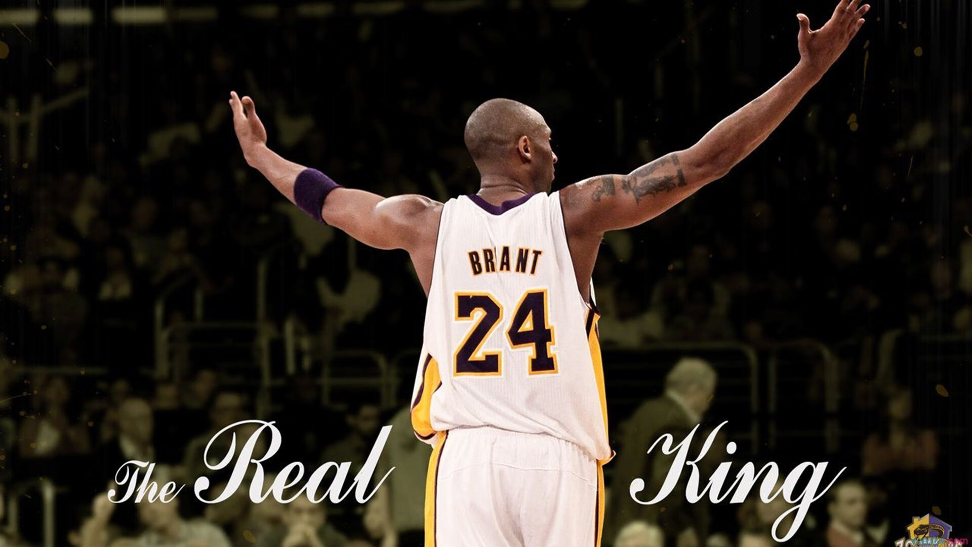 鹰击长空，武切维奇关键一锤定音，老鹰生死战力克篮网